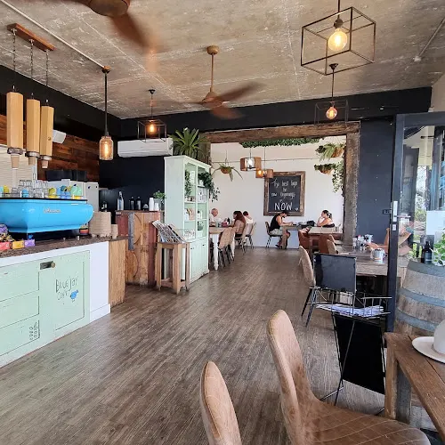 Blue Jay Cafe