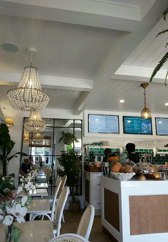 AVOCADO LOUNGE