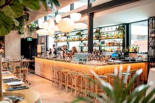 Green Moustache Rooftop Garden Bar and Restaurant
