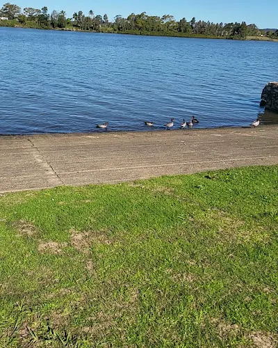 Taree Aquatic Club