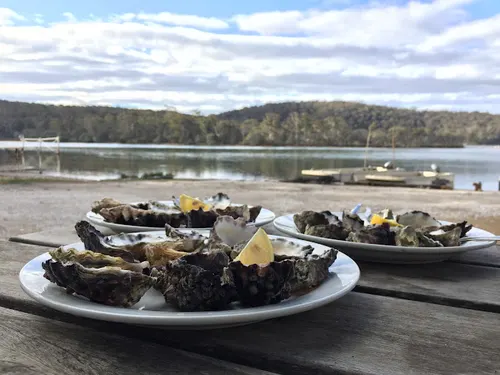 Broadwater Oysters生蚝