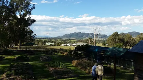 Hillview herb farm
