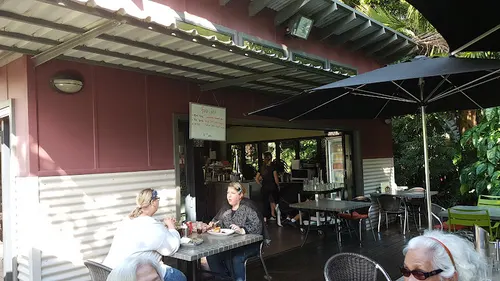 Impact Plants Cafe